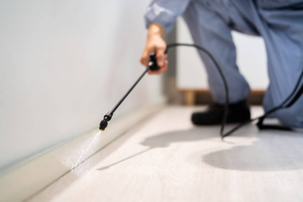 Professional exterminator conducting IPM assessment in North Palm Beach