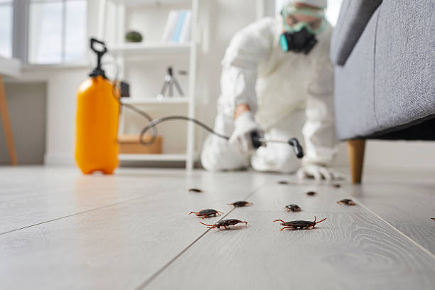 Commercial Kitchen Cockroach Control in North Palm Beach